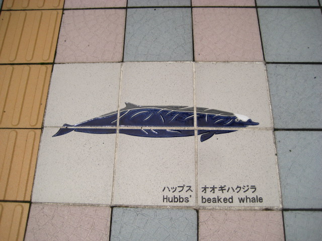 d0147727_1948316.jpg