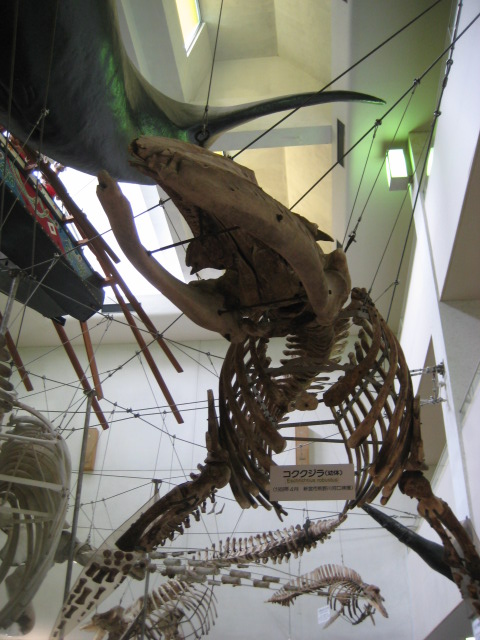 d0147727_195296.jpg