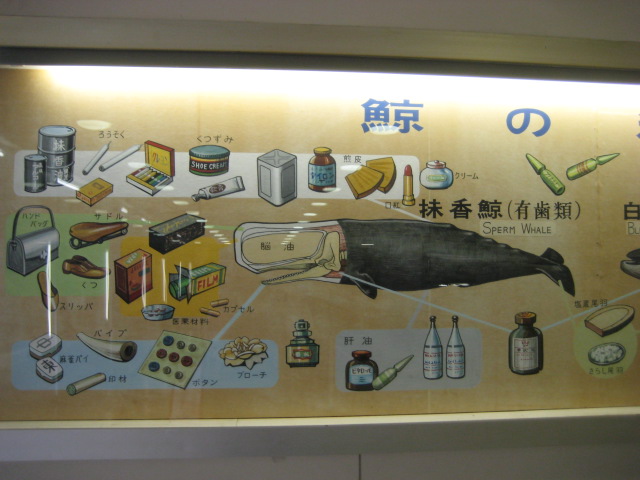 d0147727_1954197.jpg