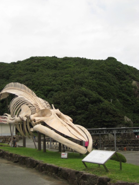 d0147727_1958573.jpg
