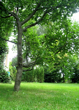 a0128333_17481050.jpg