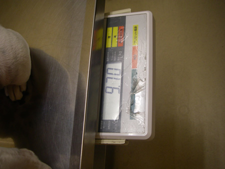 e0008833_11523792.jpg