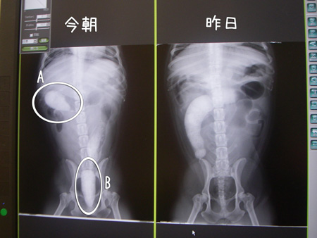 e0008833_11552939.jpg