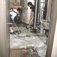 d0033734_12465192.gif