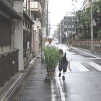 d0033734_12583377.gif