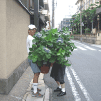 d0033734_1258639.gif
