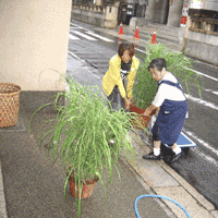 d0033734_12592100.gif