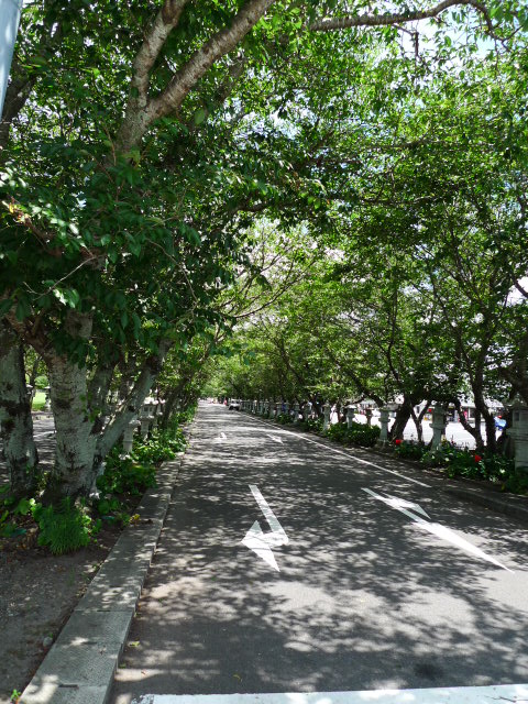c0191936_2255260.jpg