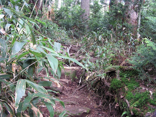 b0099538_2036060.jpg