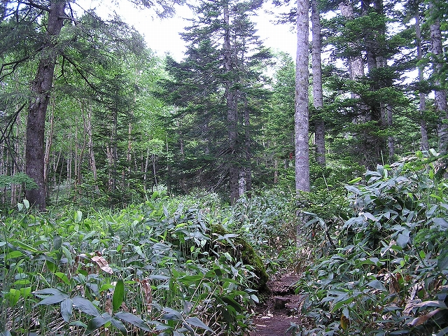 b0099538_20372170.jpg