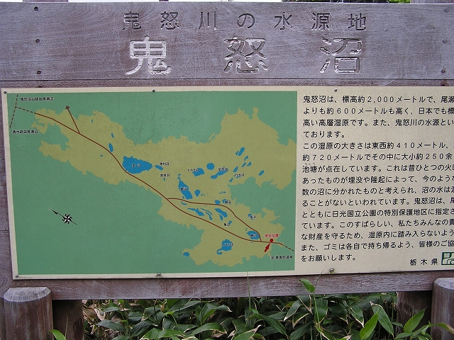 b0099538_20392417.jpg