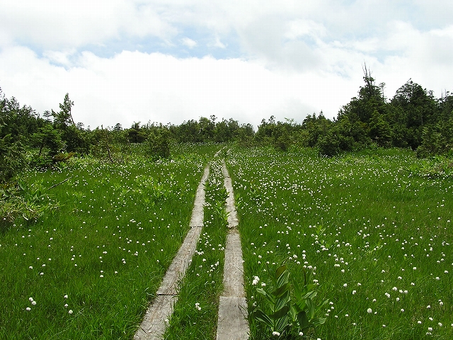 b0099538_204442100.jpg