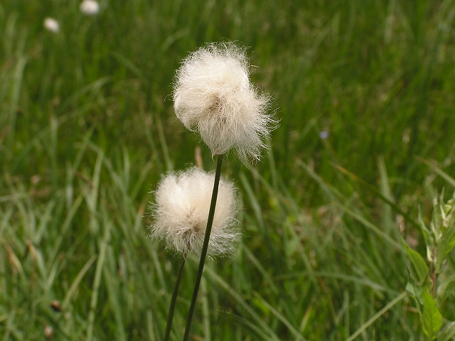 b0099538_20452223.jpg