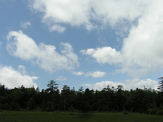b0099538_2051578.jpg