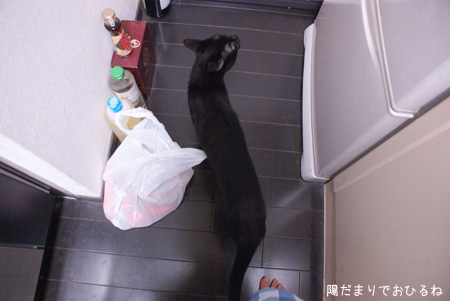 c0132438_2295350.jpg