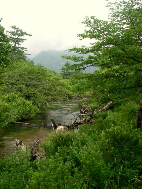 f0053342_2122523.jpg
