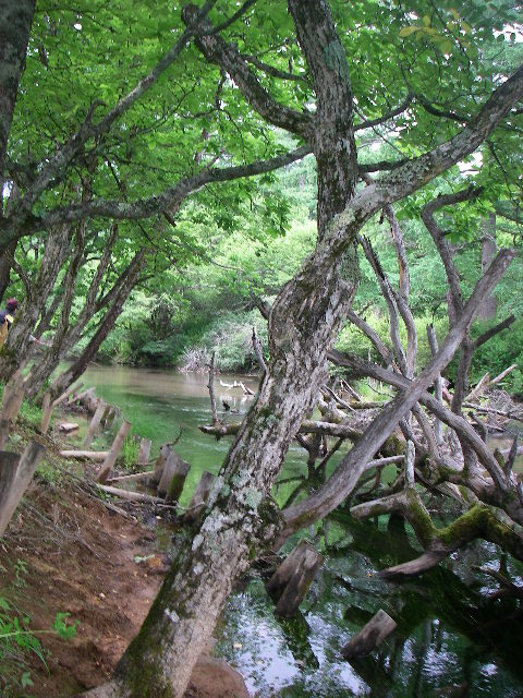 f0053342_21231399.jpg