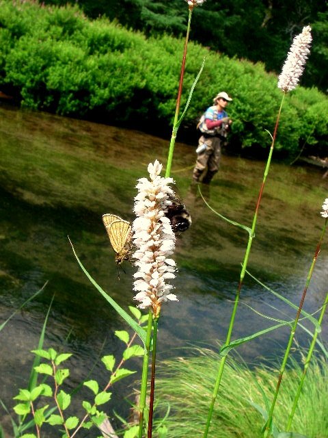 f0053342_21263100.jpg