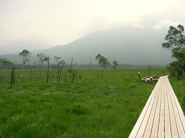 f0053342_21292591.jpg