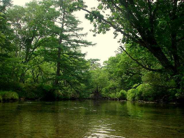 f0053342_21294472.jpg