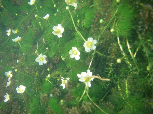 f0053342_21355885.jpg