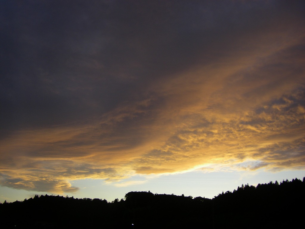 a0023043_4444973.jpg