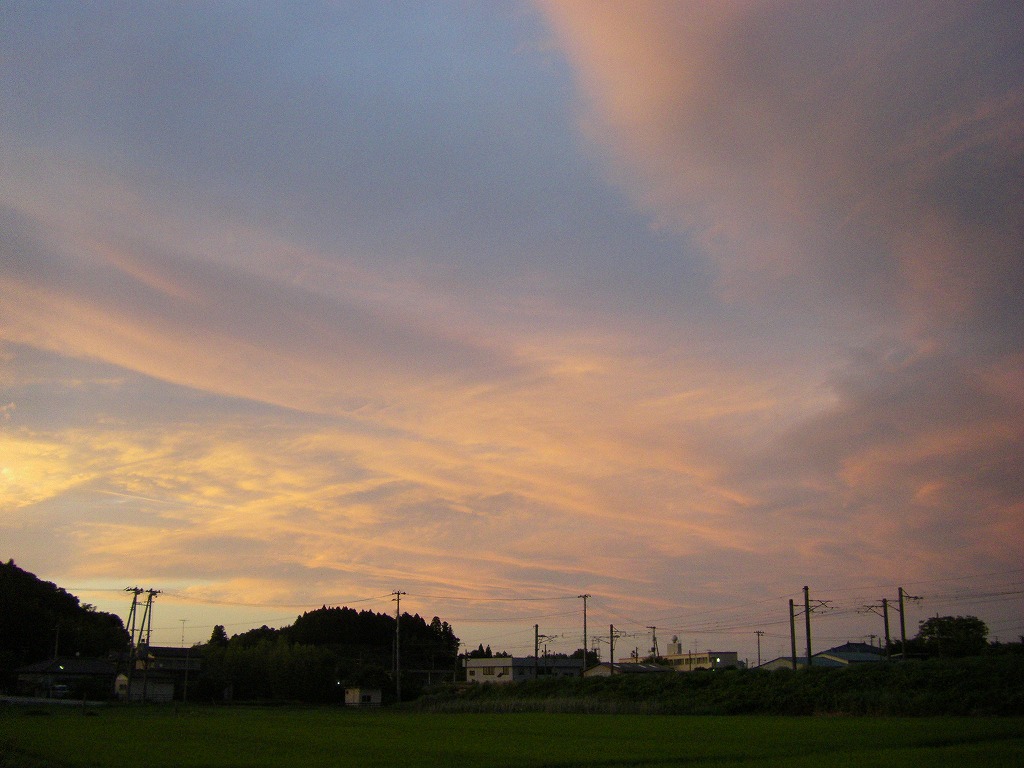 a0023043_445312.jpg