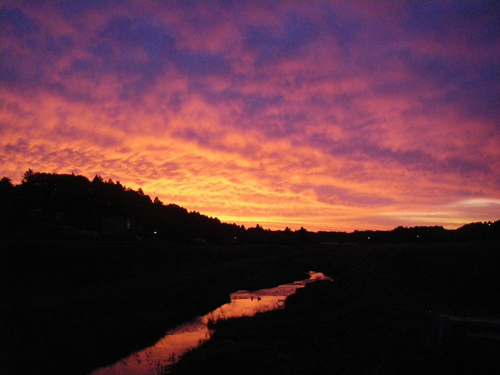 a0023043_447938.jpg