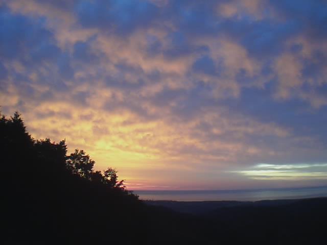 a0023043_4491255.jpg
