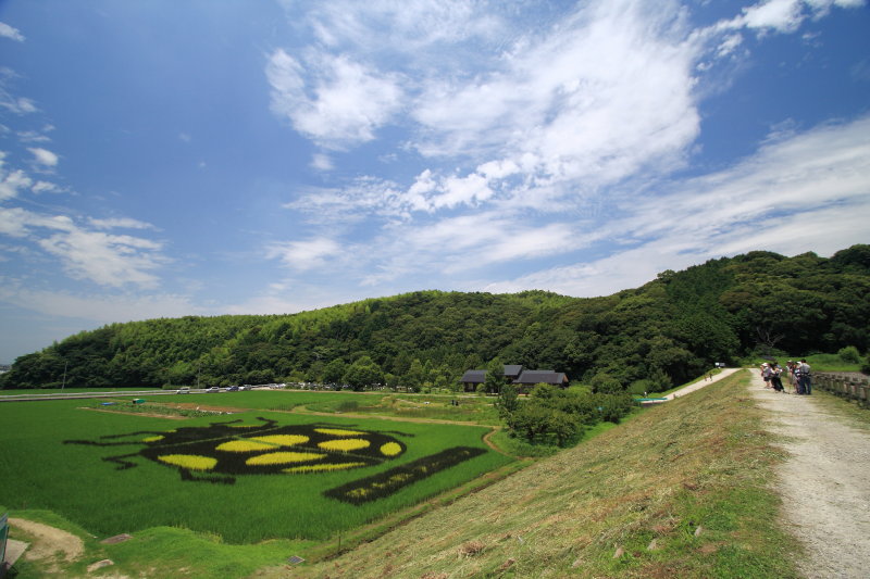 b0092844_2224267.jpg