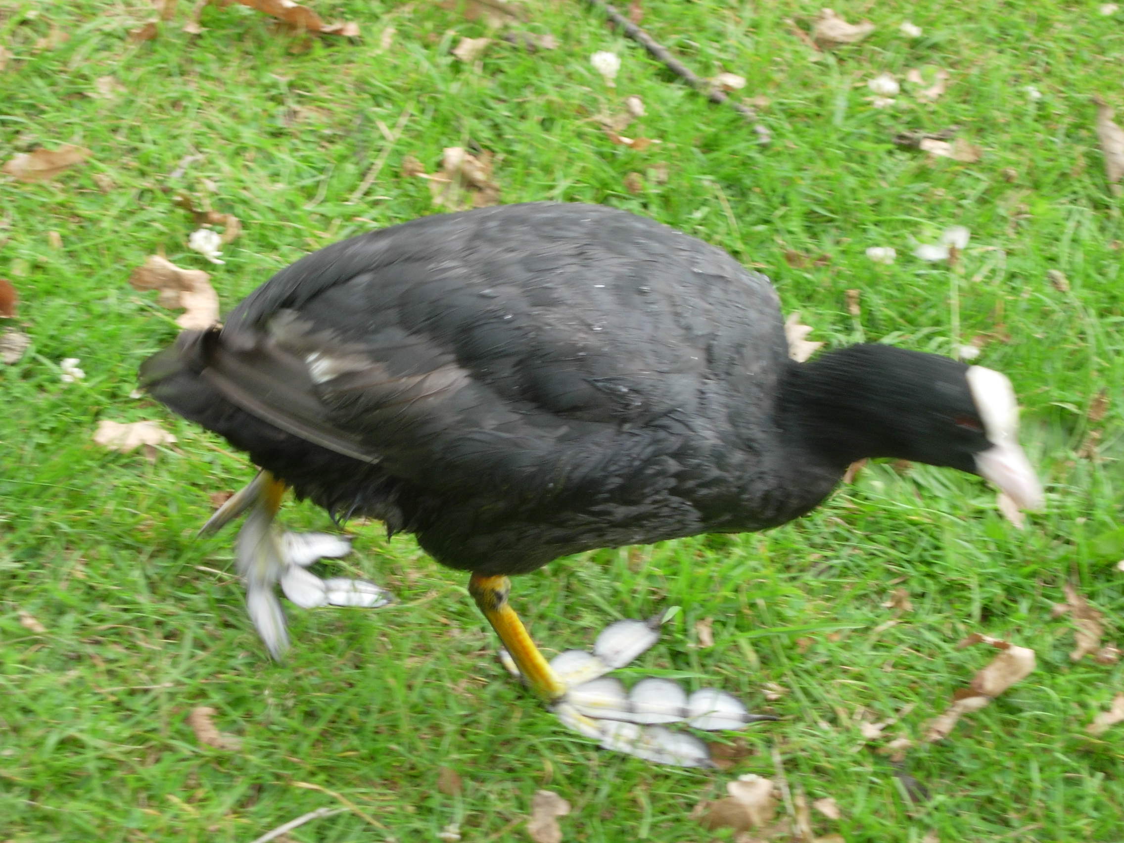 f0019444_5365462.jpg