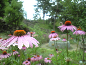 c0132646_8575720.jpg