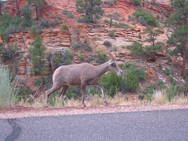 f0194450_1563561.jpg