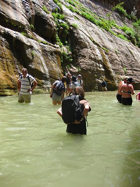 f0194450_8251434.jpg