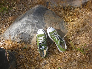 f0194450_830859.jpg