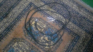 f0000652_06945.jpg