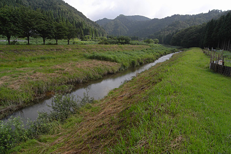 e0113053_0394213.jpg
