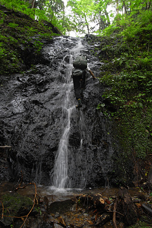 e0113053_0434529.jpg