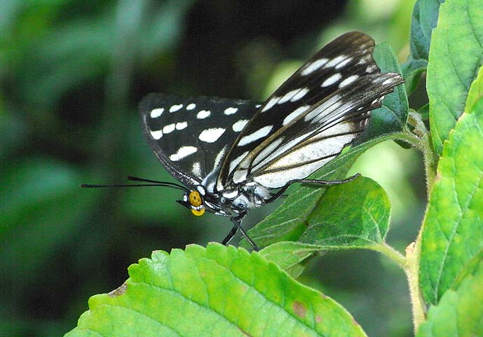 d0146854_21163488.jpg