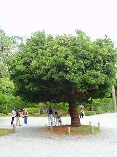 e0004756_21464693.jpg