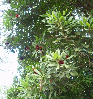 e0004756_21471686.jpg
