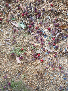 e0004756_21474980.jpg