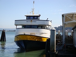 c0185058_961546.jpg