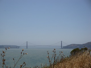 c0185058_983830.jpg