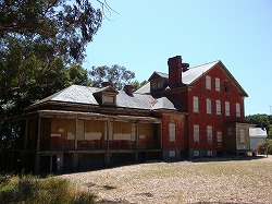 c0185058_991086.jpg