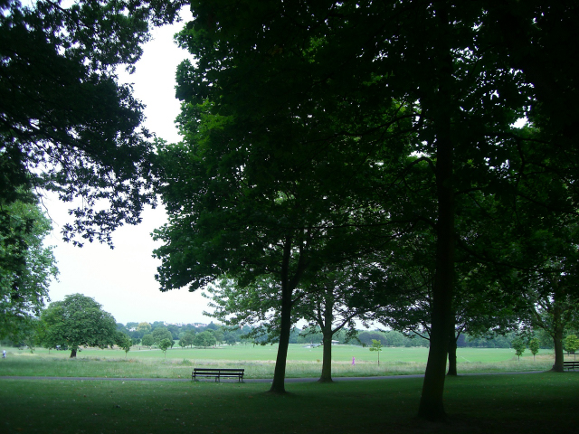 f0176458_20332858.jpg
