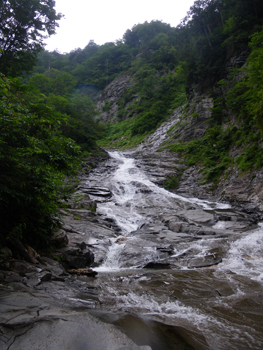 e0177459_817236.jpg