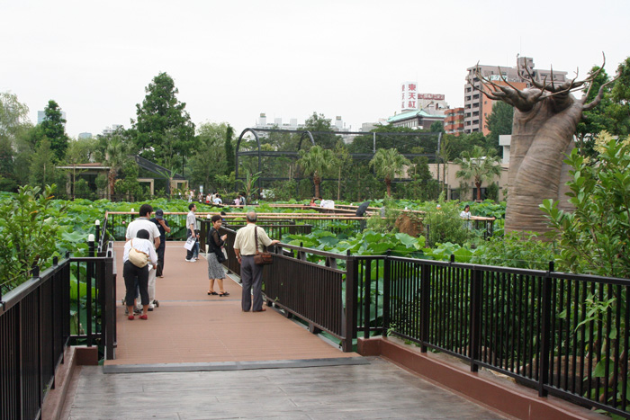 e0086860_23251623.jpg