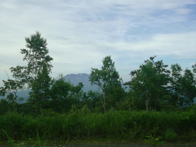 d0093462_75173.jpg