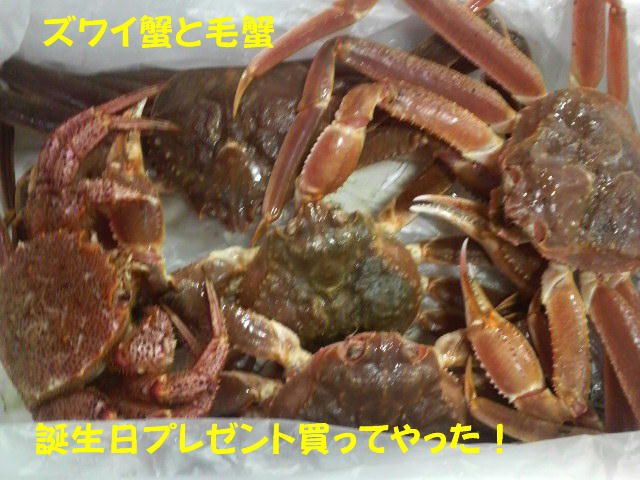 f0057565_1244819.jpg